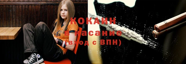 дурь Заводоуковск