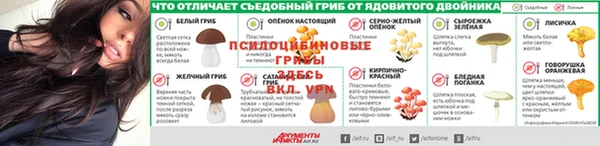 ГАЛЛЮЦИНОГЕННЫЕ ГРИБЫ Заволжье