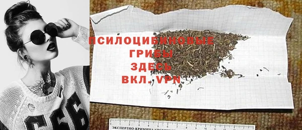 дурь Заводоуковск