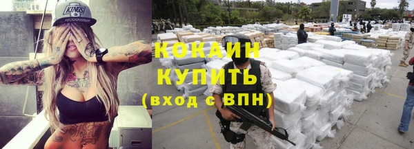 ГАЛЛЮЦИНОГЕННЫЕ ГРИБЫ Заволжье