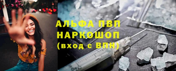 прущие грибы Дмитровск