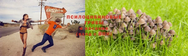 мдма Дмитриев